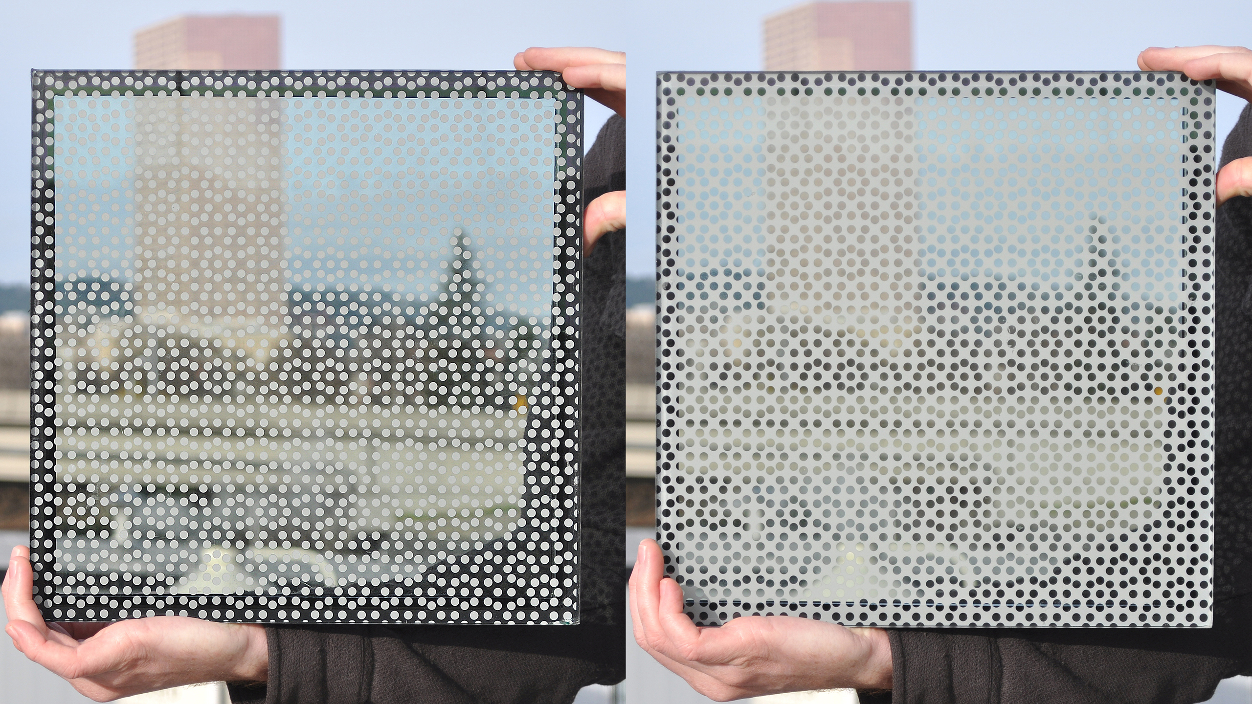 Materials Technology R&D: Nanoscience and Bird-Friendly Design / image 3
