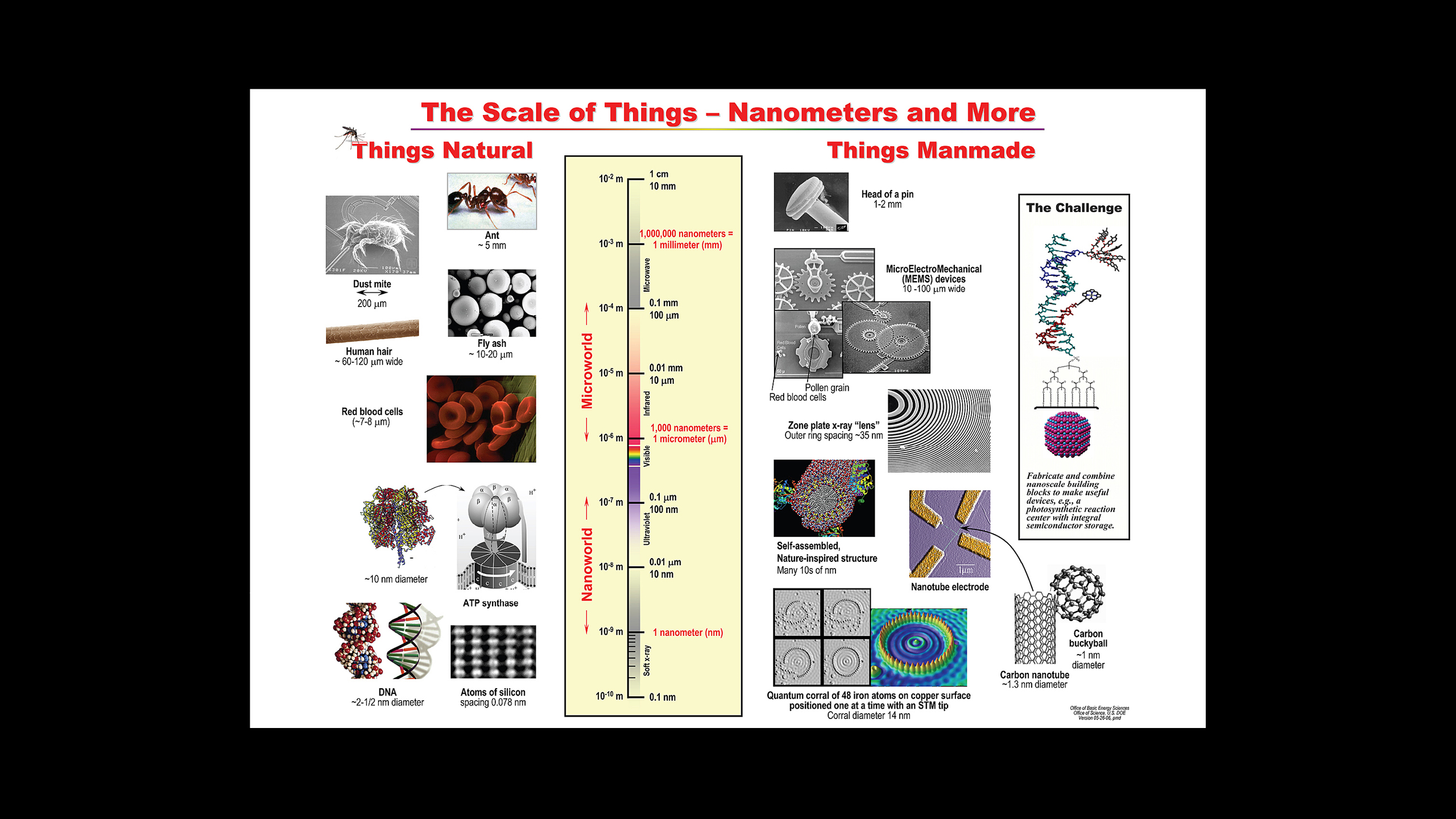 Materials Technology R&D: Nanoscience and Bird-Friendly Design / image 5