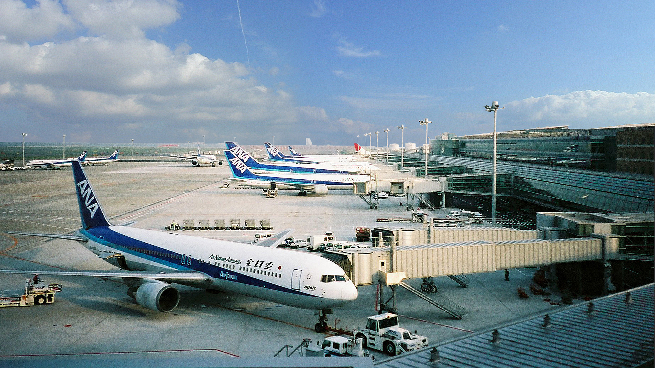 Haneda Passenger Terminal 2 / image 9