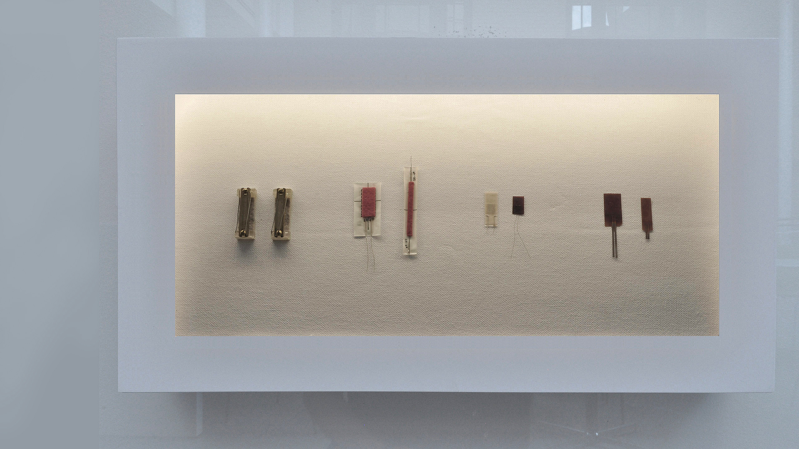 Storytelling, Artwork, Graphic and Display Design at Scott Hall / image 5