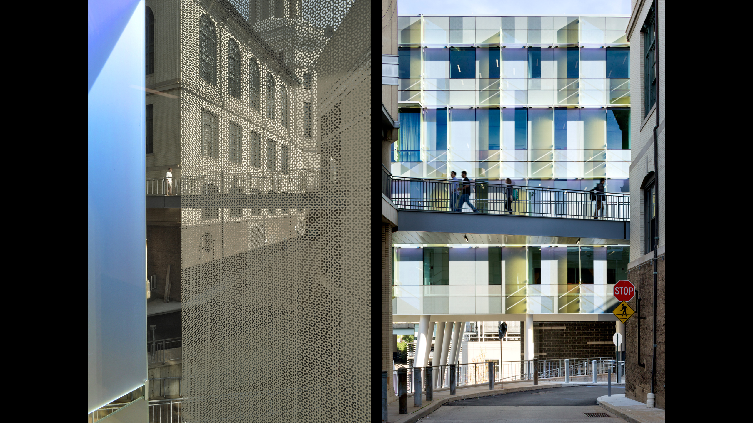 Materials Technology R&D: Nanoscience and Bird-Friendly Design / image 2