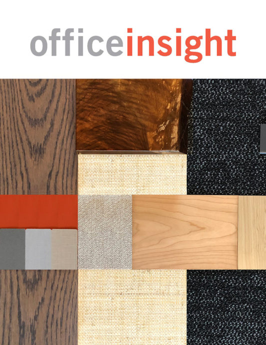 Interior Redo For Alterman Law Group